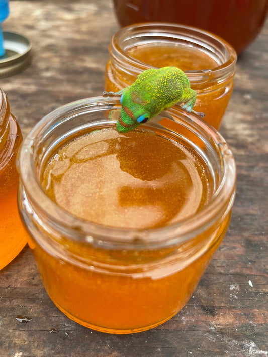 Where does the honey comes from?