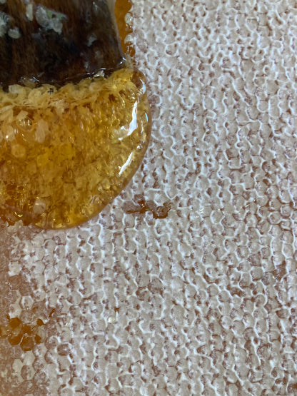 Longan blossom honey