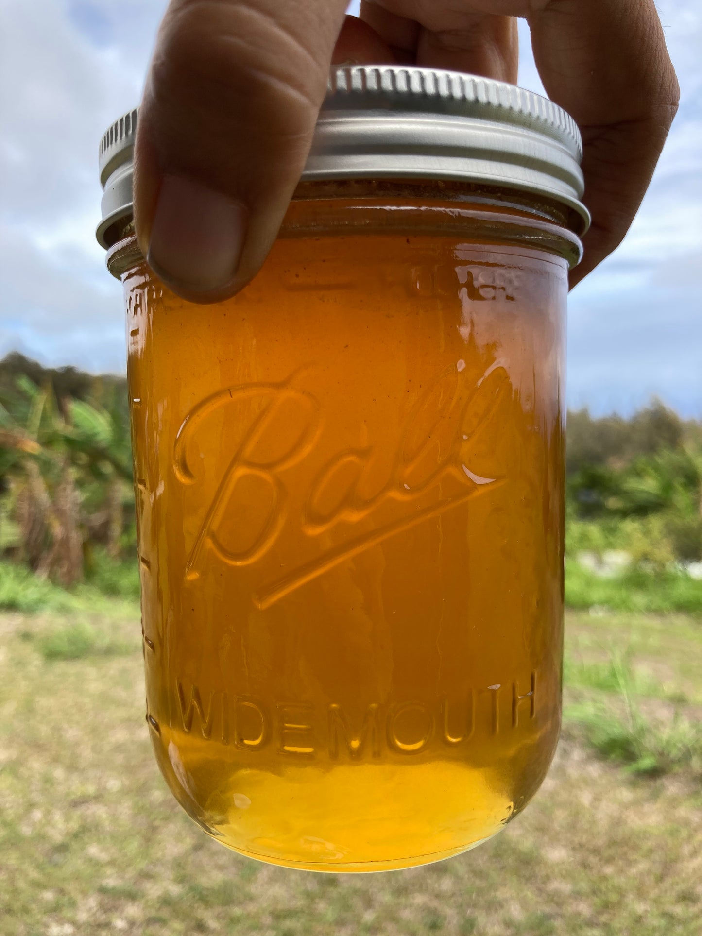 Longan blossom honey