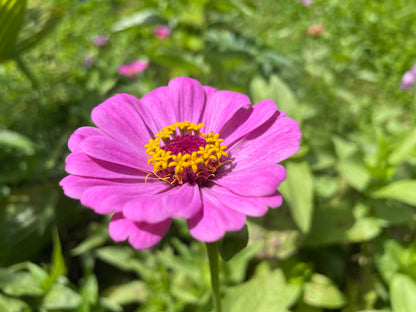Tropical blossom honey